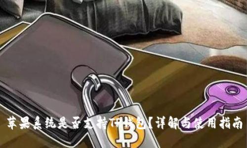 苹果系统是否支持TP钱包？详解与使用指南
